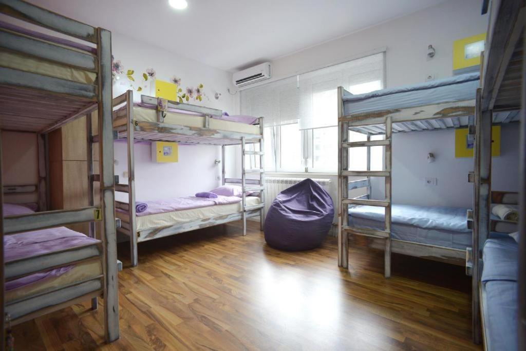 Stella Di Notte Hostel Beograd Bagian luar foto