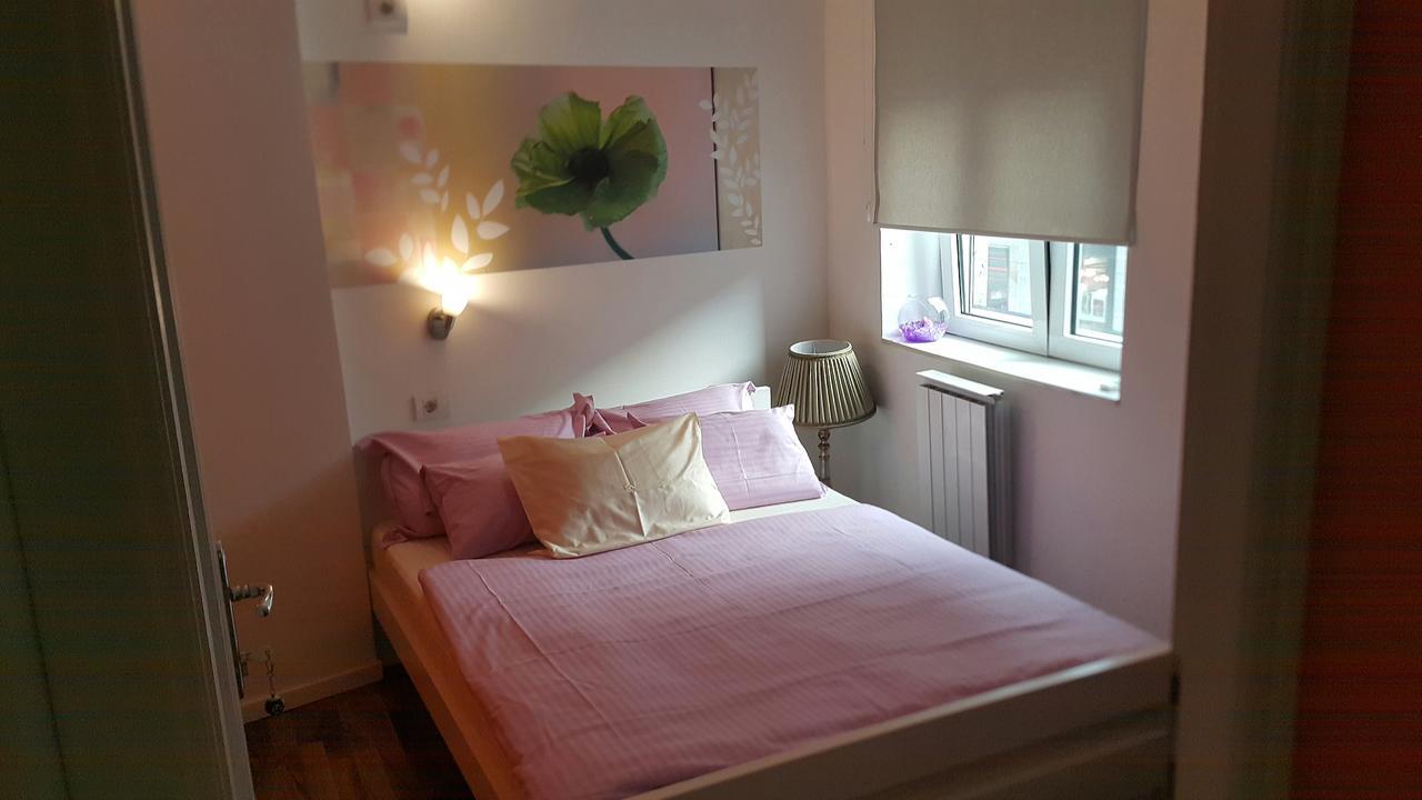 Stella Di Notte Hostel Beograd Bagian luar foto